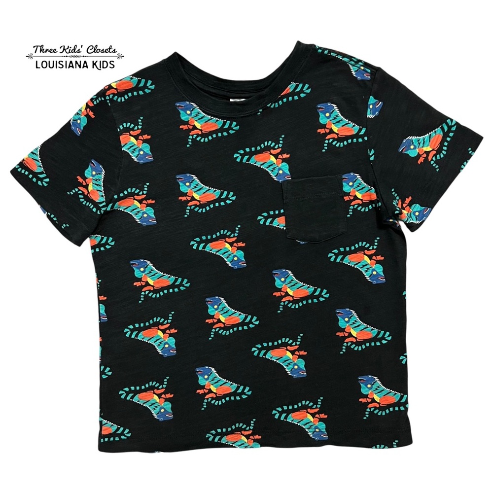 Hanna Andersson Sz 110 (5) Black Colorful Iguana Lizard Tee Shirt